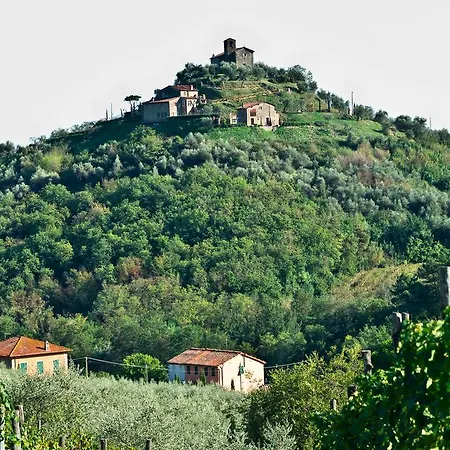 Castello Di Mammoli